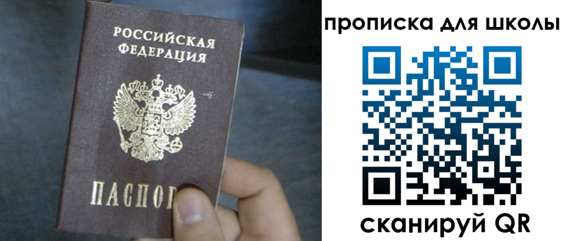 прописка поиск в Ливны